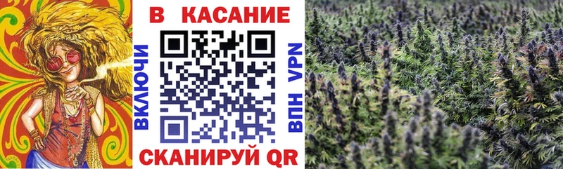Где можно купить наркотики Харовск Гашиш Кокаин Меф Конопля